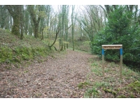 West Downs Wood - SOLD