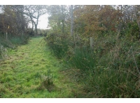 Track leading back to entrance gate