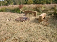 Picnic area and benches