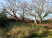 Woolcombe Wood