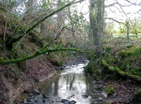 stream along the Southern boundary