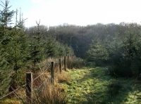 looking South down the Eastern boundary