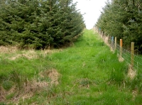 the view north by the eastern boundary fence