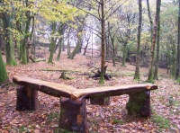 Beamhow Wood - SOLD