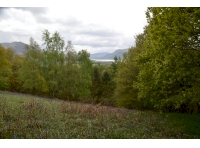 Caermote Wood - SOLD