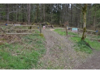 Chaldron Wood - SOLD