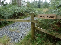 Hawhill Wood - SOLD