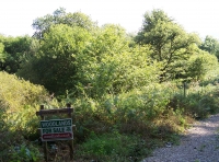 Horsegill Wood - SOLD