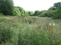 Ings Meadow - SOLD