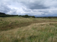 Looking north