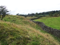 Stone wall boundary to the north