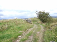 Shared access track
