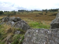 Rock outcrop