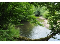 Oldford Wood - SOLD