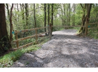 Ruthwaite Wood - SOLD