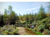 Sheepfold Wood - SOLD