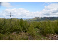 One of the views