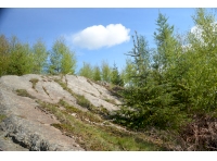 Rocky outcrop