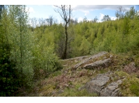 Sheltered outcrop