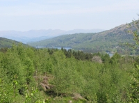 Early summer view of Lake Windermere