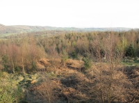 View from high-point