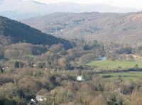 Tottle Wood