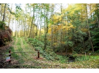 The ride stop and entrance to Westmarch wood