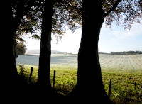 The view out of the woodland and across farm land to the hills 