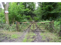 Winthop Wood - SOLD