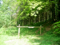 Abbots Hill Wood - SOLD
