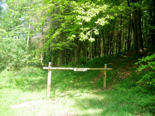 Abbots Hill Wood - SOLD