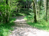 Stoned entrance track