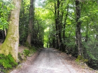 Badgers Wood - SOLD