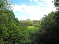 Berry Wood - SOLD