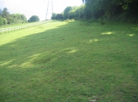 Black cat meadow