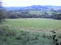 View from Bovett Wood, including a deer herd!