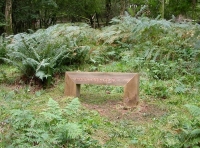Bench in woodland 