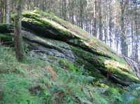 Cairn wood - SOLD