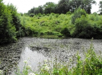 Cerden Wood & Pond - SOLD