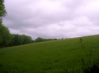 View of Devon fields from the top of the woodland