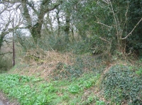 Church Wood - SOLD photo 3