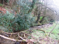 Coles Cross Wood