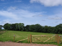 Colwell Wood & Meadow - SOLD
