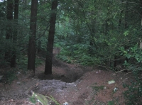 Corry wood photo 2