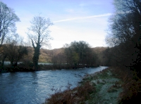 Cove Wood - SOLD