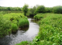 Duerdon Wood