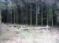 Embury Wood