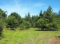 Five Lanes Wood - SOLD
