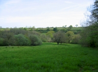 Gorhuish Wood and Meadow