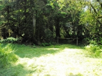 Gorvin Wood